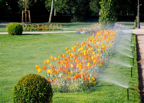 How Much Does a Sprinkler System Cost? | Hausette