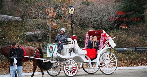 Central Park Horse and Carriage Rides in New York