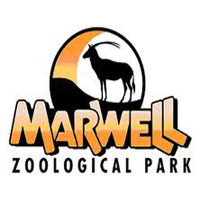 Marwell Zoo - Expression Events