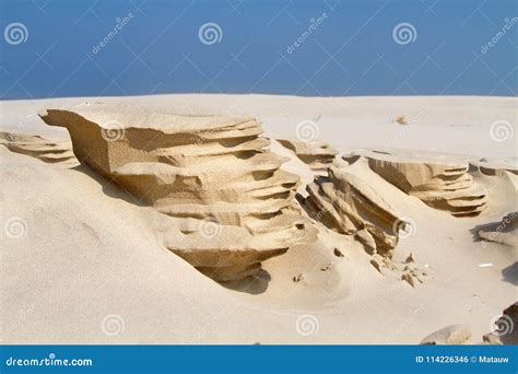 Wind Erosion In The Sand Of A Beach Stock Photography | CartoonDealer.com #114226346