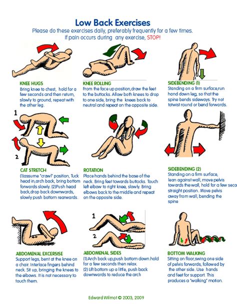 Relieve Your Lower Back Pain with Simple Strengthening Exercises | MDCURE - A Back Pain Relief ...