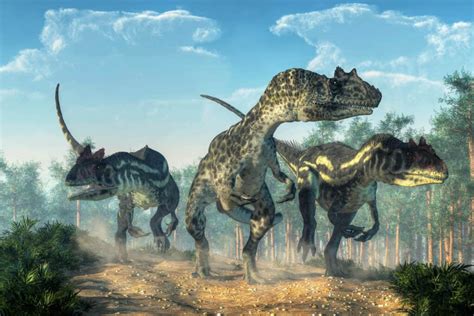 8 Dinosaurs that Lived in New Mexico (And Where to See Fossils Today ...