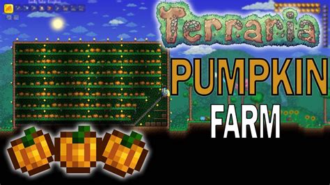 Pumpkin Farm Guide | Terraria - YouTube