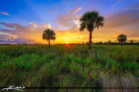 Florida Landscape Sunset Wetlands Jupiter Farms Northern Palm Beach