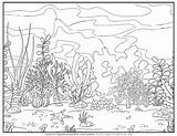 Dive Into Creativity The Best Coloring Pages For Underwater Adventures sketch template