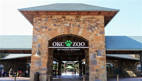 The Oklahoma City Zoo Is Live Streaming Red Pandas For Your Enjoyment