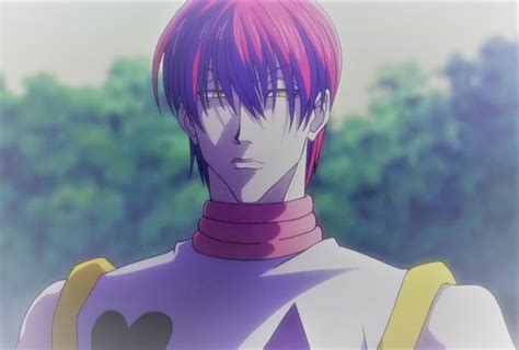 Hisoka's Worst Haircut During Sunrise | Hisoka, Anime, Different art styles