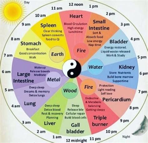 Have you ever viewed a Chinese Medicine organ clock before? As you know ...