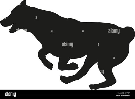 Black dog silhouette. Running and jumping central asian shepherd dog puppy. Alabai or aziat. Pet ...