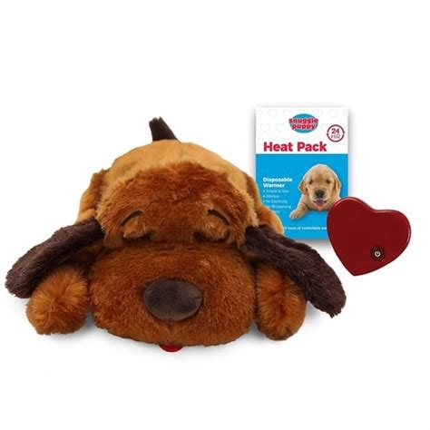 Best Chew Toys for Dogs with Separation Anxiety | Anxiety In Dogs