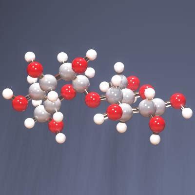 molecule maltose 3d model