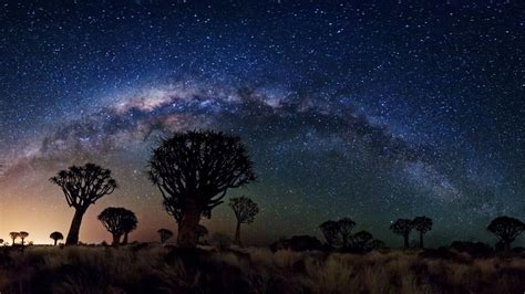 Vía Láctea sobre el bosque de Quiver Tree, espacio, nasa, galaxias, estrellas wallpaper ...