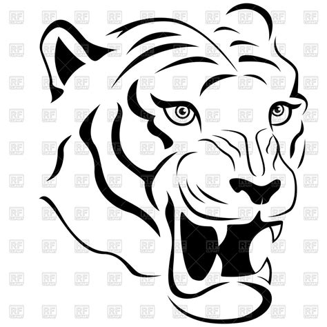 Tiger Face Vector at Vectorified.com | Collection of Tiger Face Vector free for personal use