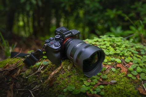 The new A7RV for me as a Landscape Photographer