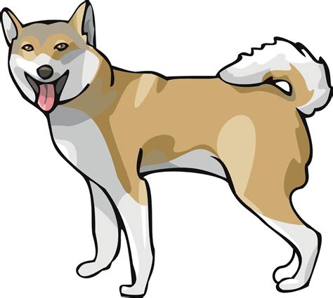 Yellow dog vector for painting 6546622 Vector Art at Vecteezy