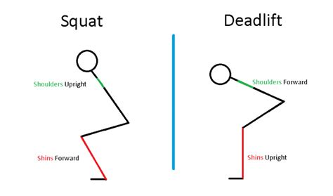 What are the Differences in Technique Between a Squat and a Deadlift | POGO Physio Gold Coast