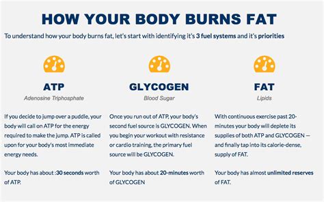 How Your Body Burns Fat - Private Label Fitness | Branded Fitness | Fitness Marketing