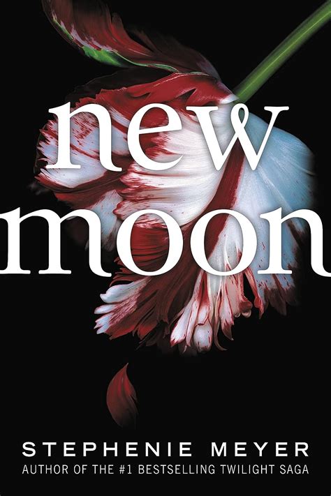 New Moon // Book Review - Books With Bunny