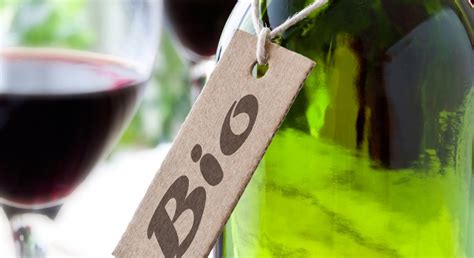 Dans vingt ans, les vins bio seront la norme dans le monde - La Revue du vin de France