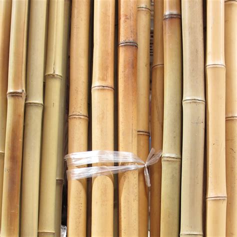 Natural Bamboo Poles, Different Sizes and Lengths