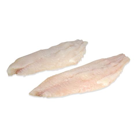 Buy Farmed Fresh Catfish Fillets (Skin On) Online in Bulk at MarxFoods.com