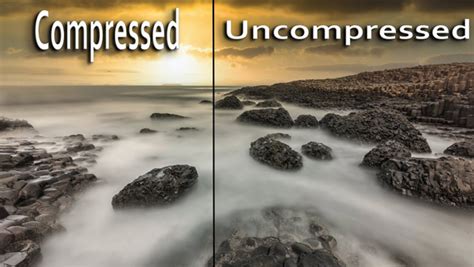 Compressed vs Uncompressed Raw Photos: Is There Really a Difference ...