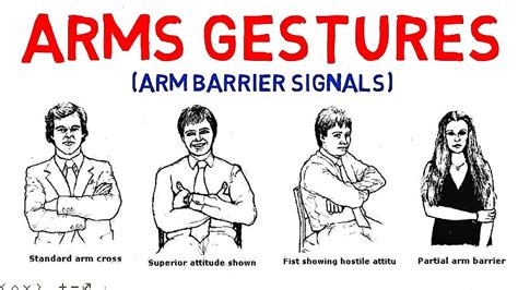 Arm Gestures (Arm Barrier Signals ) | Body Language | (Animated) - YouTube