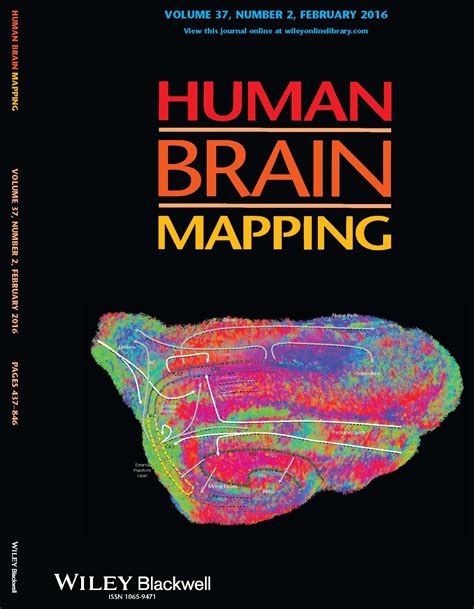 Dr. Modo's Image on Human Brain Mapping Journal | Department of Radiology