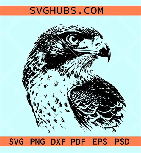 Falcon bird svg, falcon clipart, falcon silhouette, Falcon svg