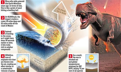 Where Asteroids Hit Killing Dinosaurs