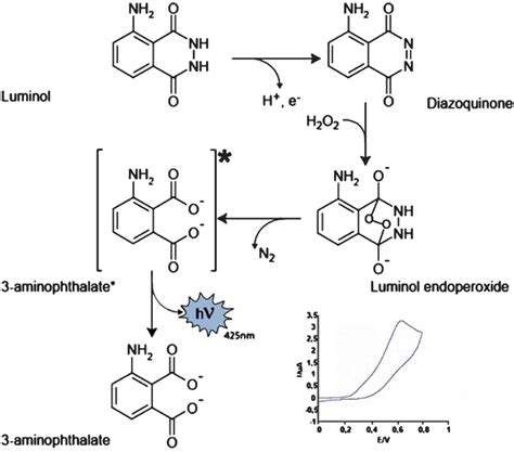 Chapter 1 Introduction and Overview of Electrogenerated Chemiluminescence (RSC Publishing) DOI ...