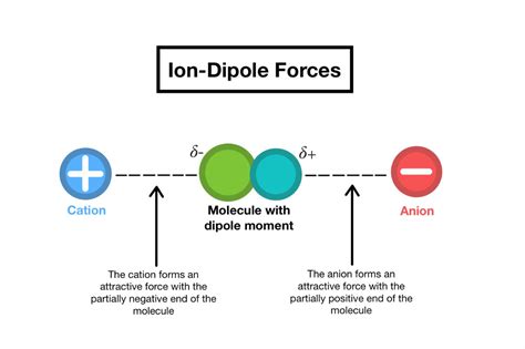 20 Enigmatic Facts About Ion-Dipole Interactions - Facts.net