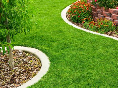 How To Edge A Lawn: Your Guide To Perfect Lawn Edges | Garden Yard