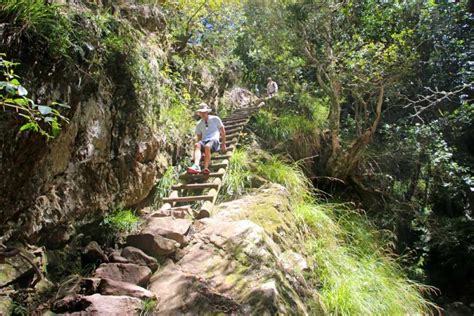 10 Best hiking trails in Cape Town in 2023 - STINGY NOMADS