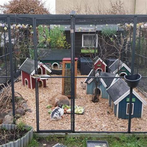 25 Awesome Outdoor Bunny Cage Ideas – OBSiGeN