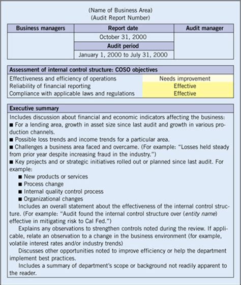 Control Mechanics - Internal Audit Best Practices