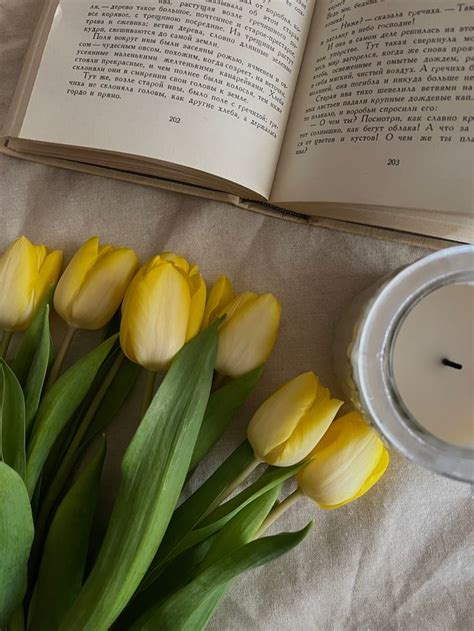 #tulips #aesthetic #flowers #floral #book #books #booklovers #yellow | Tulips, Yellow tulips ...