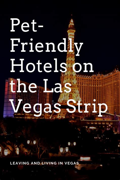 Pet-Friendly Hotels on the Las Vegas Strip | Las vegas strip, Las vegas ...