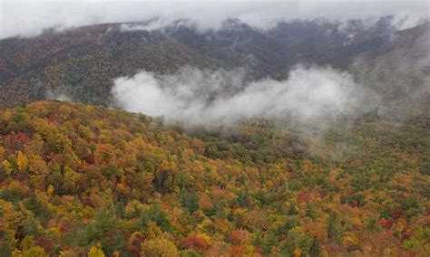 12 Of The Best Hiking Trails In North Carolina • The Grom Life