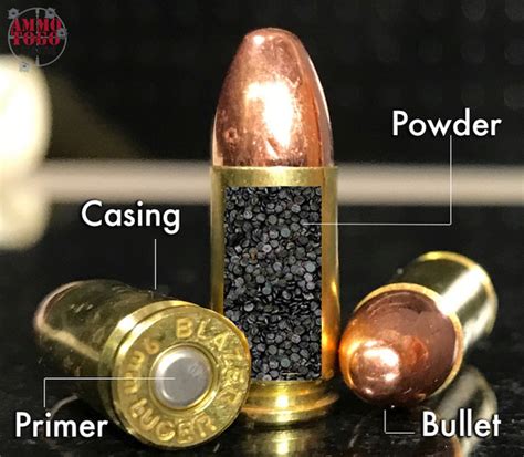 The World of Cartridges - Guide to Cartridge and Primer Types By ...