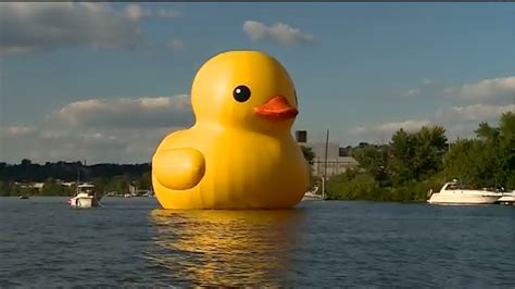 Giant Rubber Duck Wallpaper - WallpaperSafari