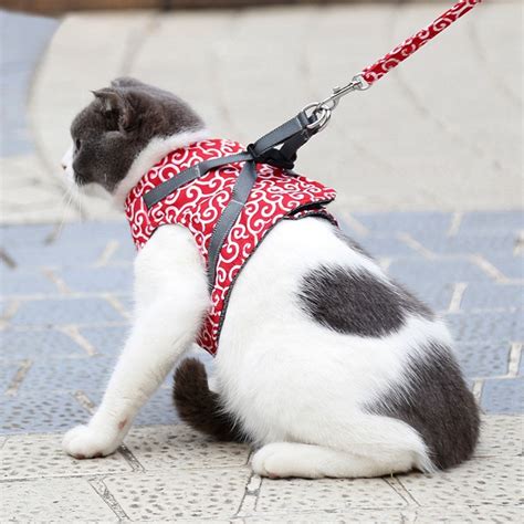 Cat Vest Harness and Leash Set Escape Proof Cat Japanese Style Harness for Outdoor Walking Lead ...