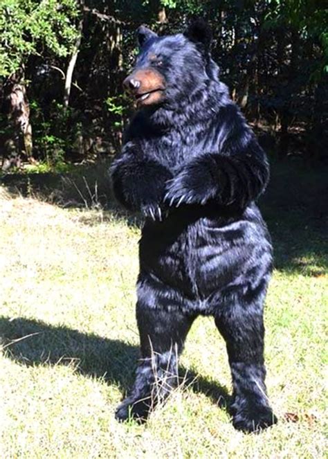 Realistic Bear Costume