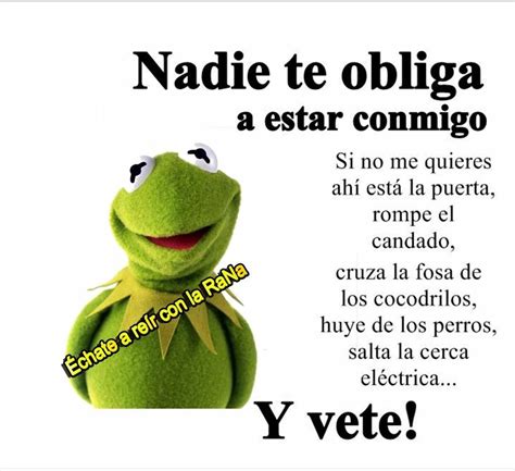 🐸 Rana Rene | Chistes geniales, Frases de buen humor, Chistes para reir