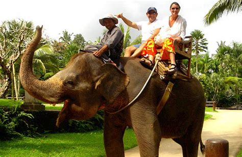 Elephant Ride at Bali Zoo Park Voucher - BALI VOUCHERS | All Bali Deals