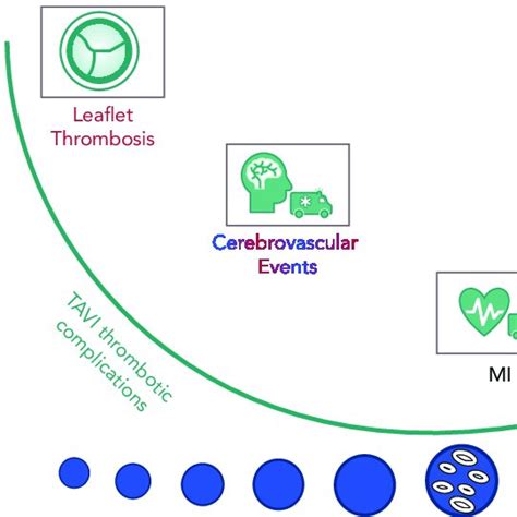 Impact of Antiplatelet and Anticoagulant Strategies on the Prevention ...