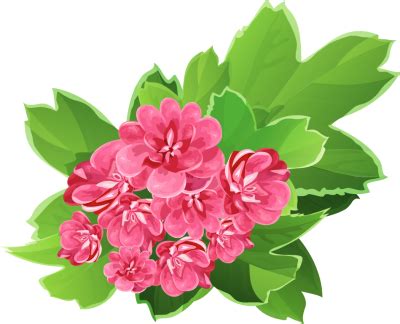 real flower clip - Clip Art Library