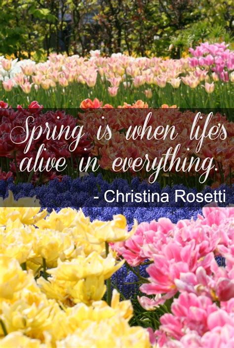 Inspirational Spring Quotes | Fun Quotes for Spring