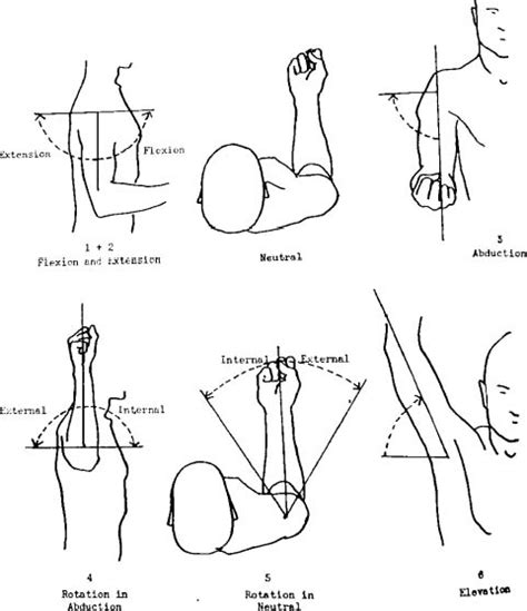 Shoulder Range of Motion | Musculoskeletal Key