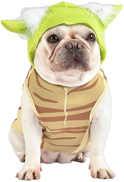 Baby Yoda Dog Costume: Perfect Ideas for Halloween & Insta Pictures